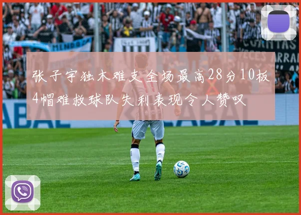 张子宇独木难支全场最高28分10板4帽难救球队失利表现令人赞叹